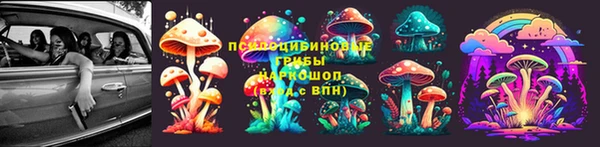 гашик Абдулино