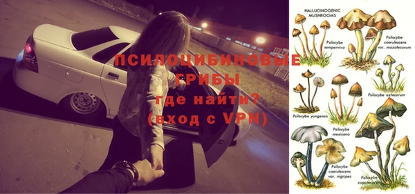 эйфоретик Абаза