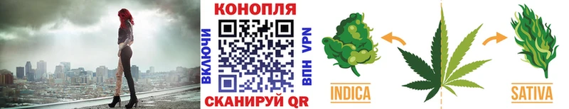 Конопля план  Иноземцево 